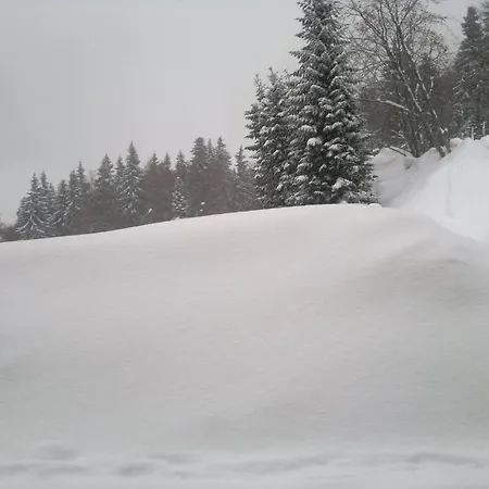 Laplandia 3* Pamporovo