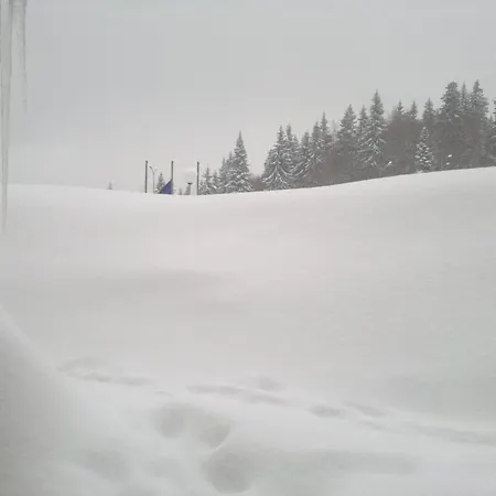 Laplandia Pamporovo