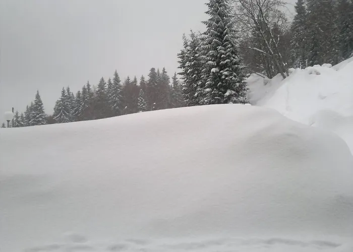 Laplandia 3* Pamporovo