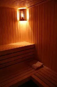 Laplandia 3* Pamporovo